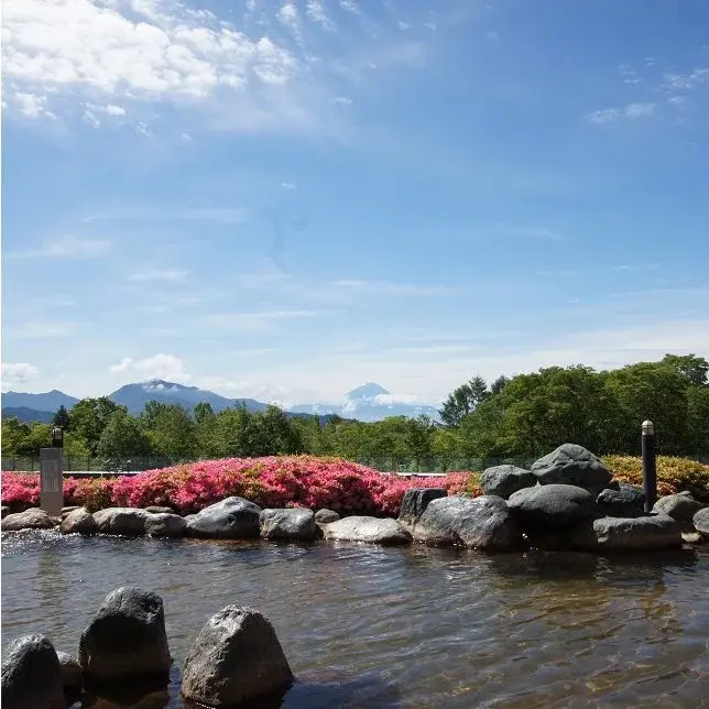 Yatsugatake Izumiso