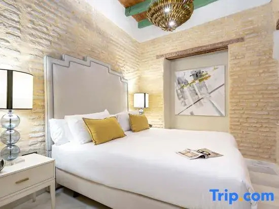 Spacious apartment in Seville center. Acetres III