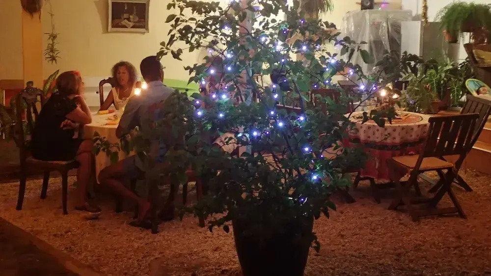 Le Cactus Guesthouse