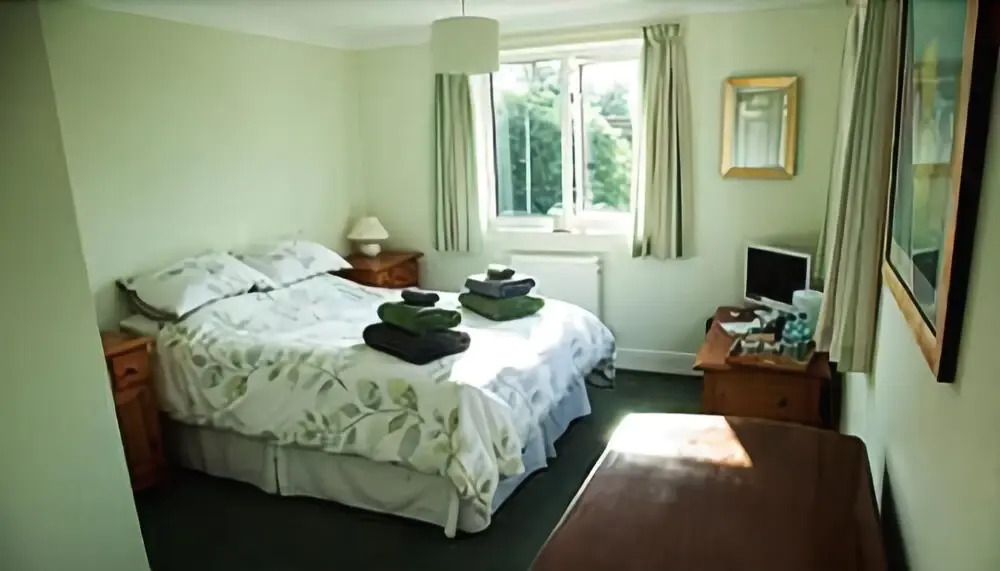 Bassets B&B