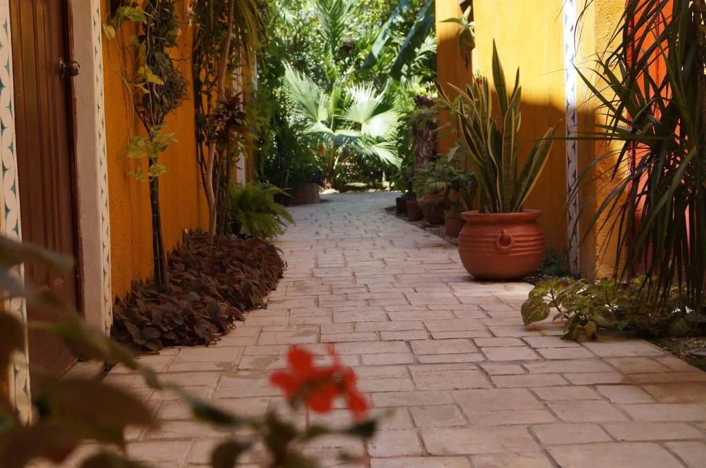 Casa Tia Micha