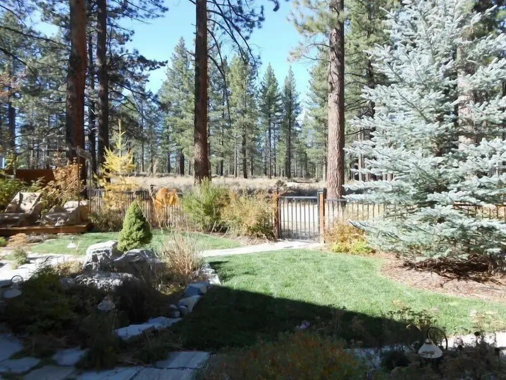 Stunning Forest Retreat - Walk to Upper Truckee River!