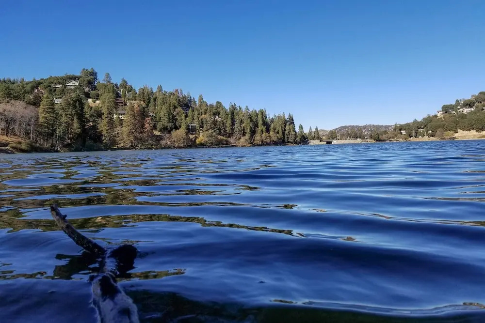 The Atomic Squirrel Lodge Lake Gregory Getaway!