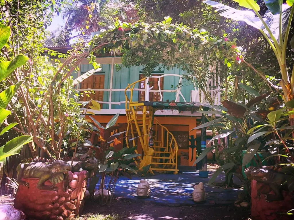 Madre Selva Hostel