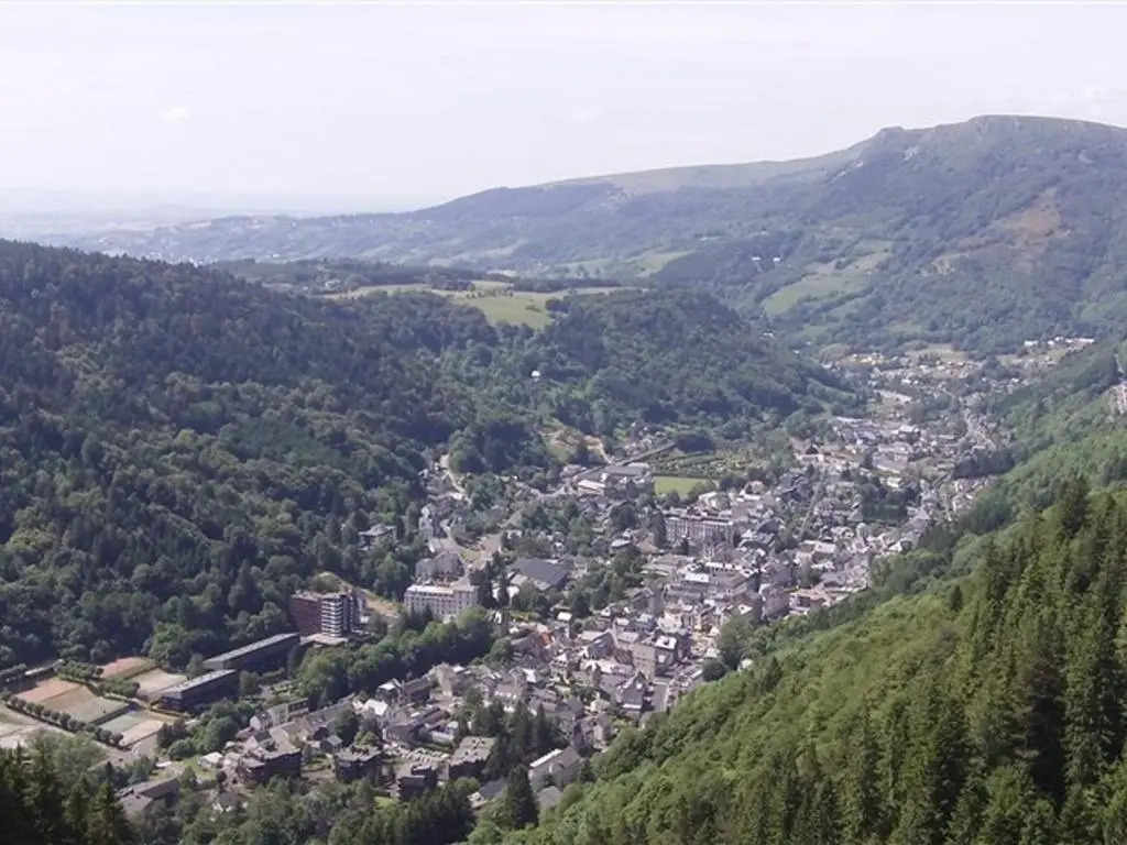 Appartement Mont-Dore, 2 pièces, 4 personnes - FR-1-415-25
