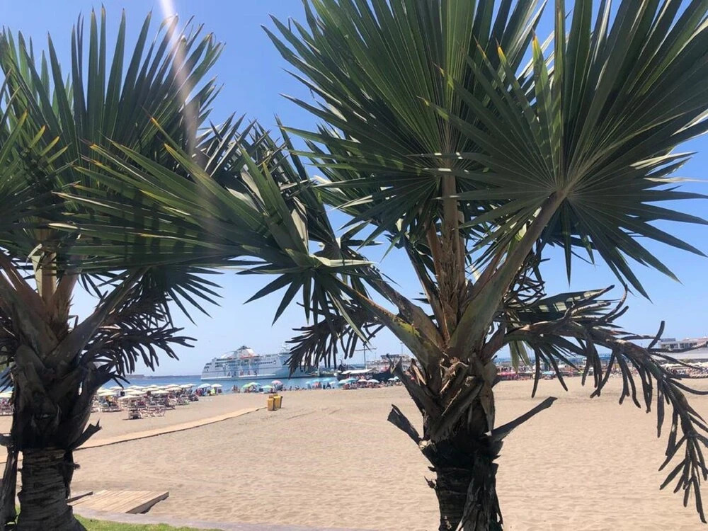 Apartamento Encanto Vista Piscina en Los Cristianos