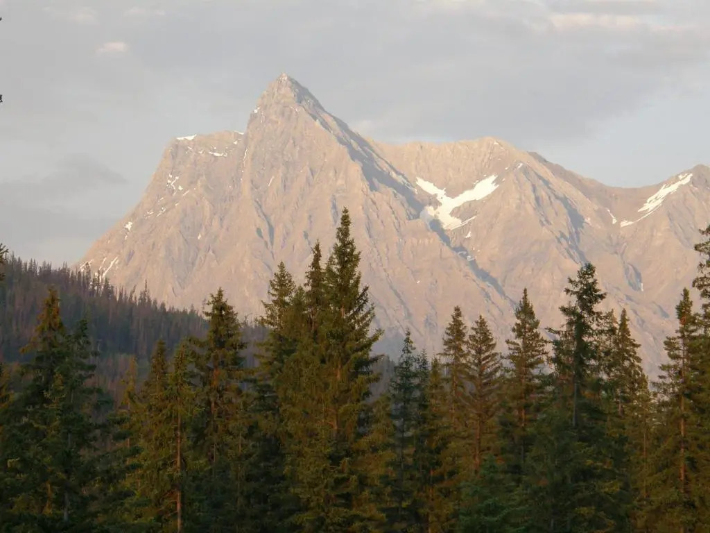 Yoho Chalets