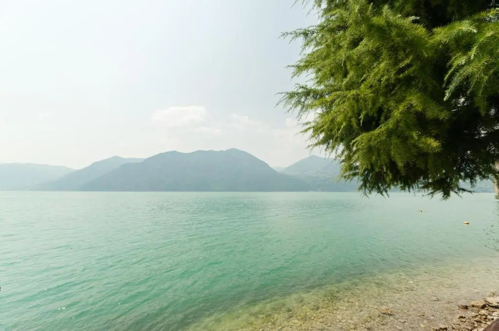 Nest on The Lake