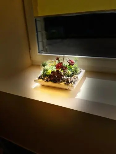 Šiauliu apartamentai