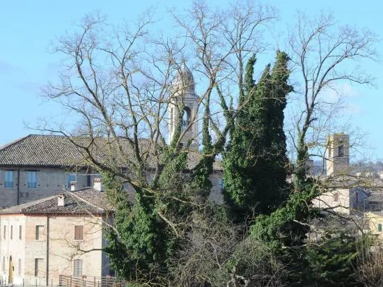 B&B Pippinella
