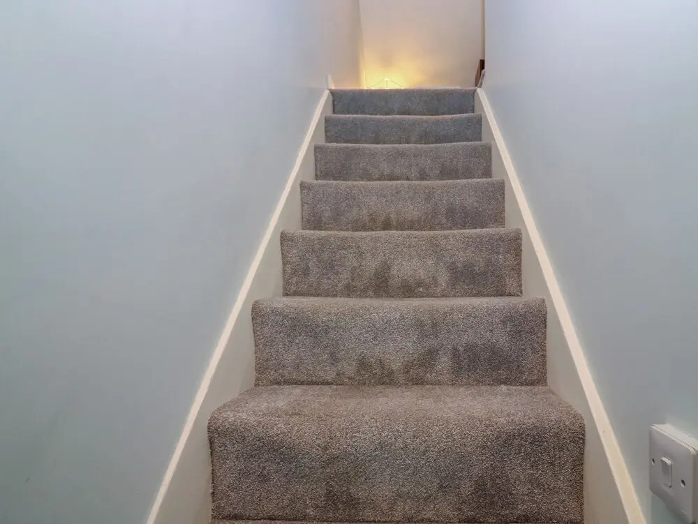 7 High Buckholmside