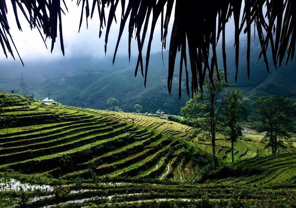 Sapa Hmong Bungalow Homestay