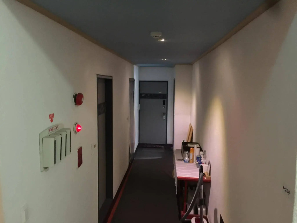 Backpackers in Jeju City Center