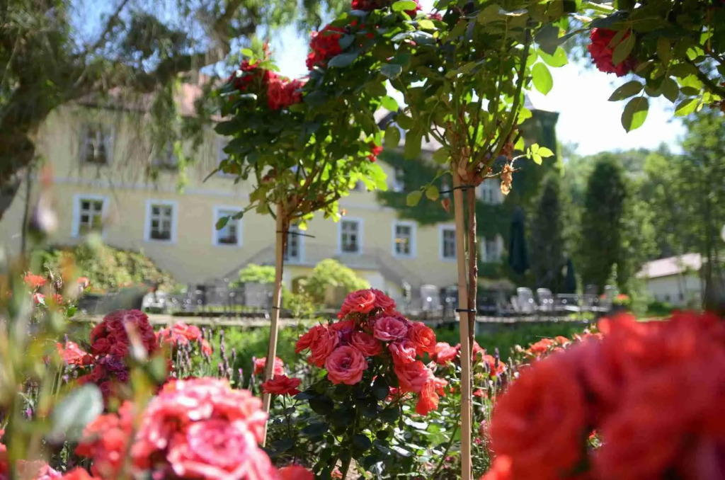 Ringhotel Schlosshotel Ernestgrün