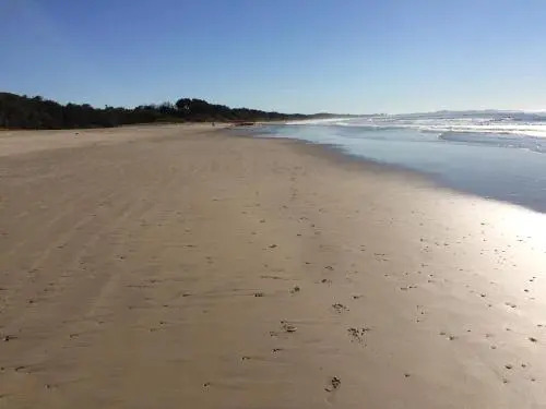 Tallowood beachfront cottage
