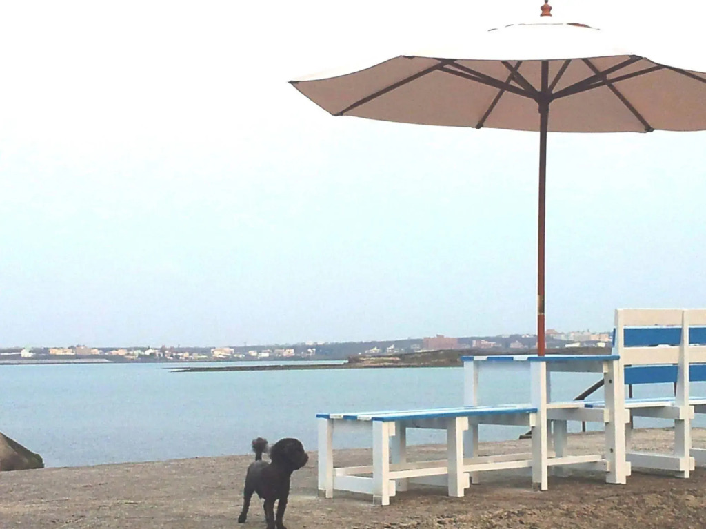 Penghu Camome