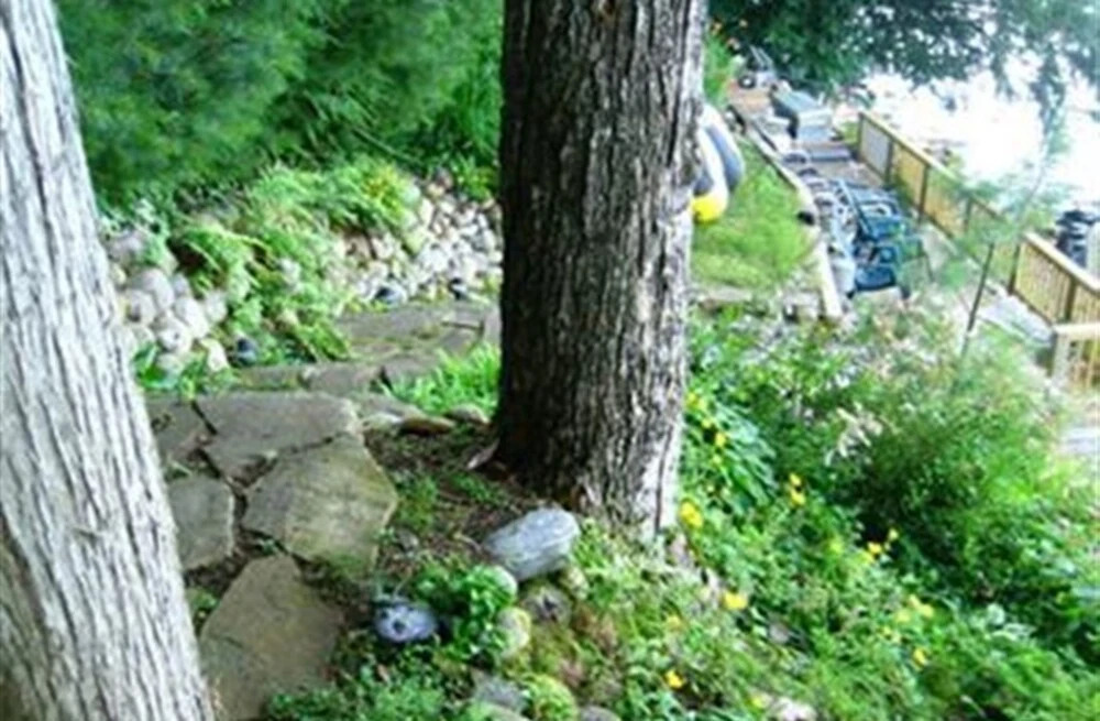 Litengard Bed and Breakfast