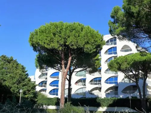 Apartment Palm Beach.1