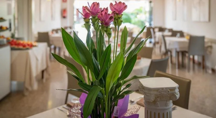 Hotel Atenea Golden Star