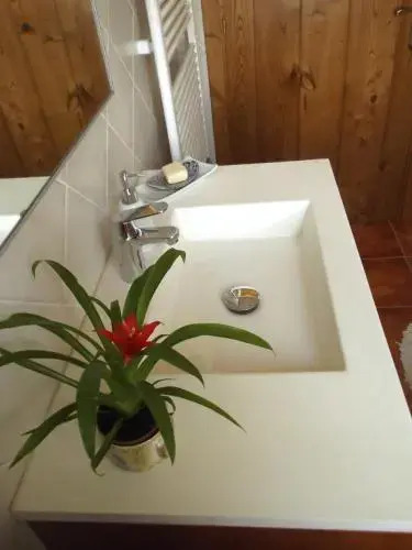 Anikuenea landa apartamentua