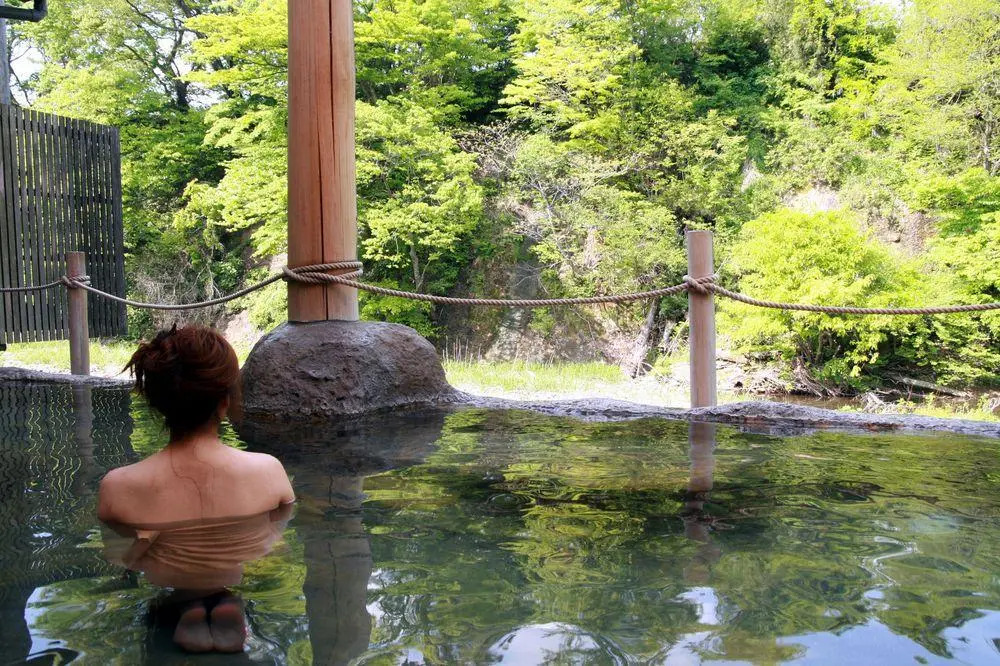 Fujisan Ryokan