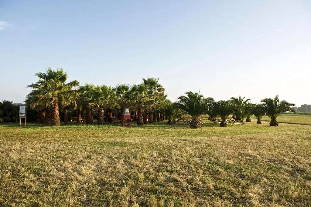 Azienda Agricola Ganci