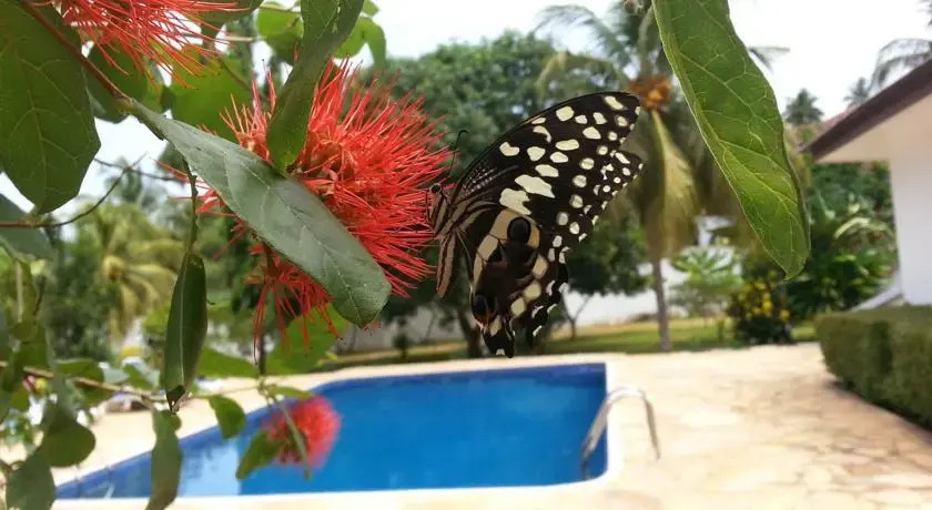 Furaha Resort