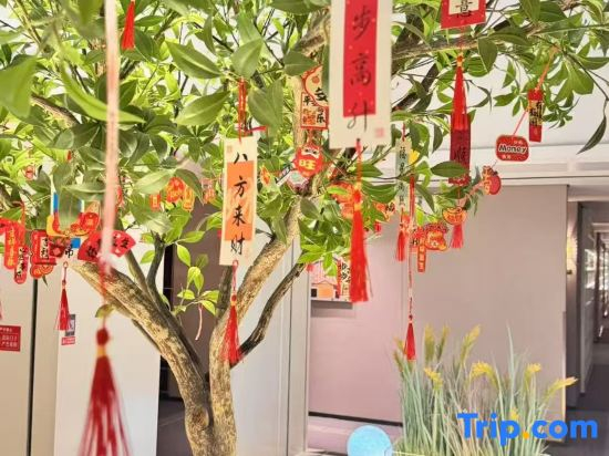 Homeinn Plus Hotel (Xi'an Bandaoti Chanyeyuan Huawei Yanjiusuo)