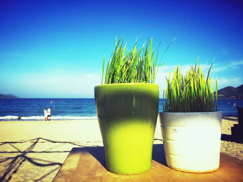 Diamond Bay Resort & Spa