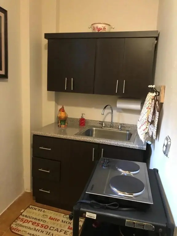 The Garden Apartment, The Willow Apartment, & The Tropical Apartment at Casa of Essence in Old San Juan