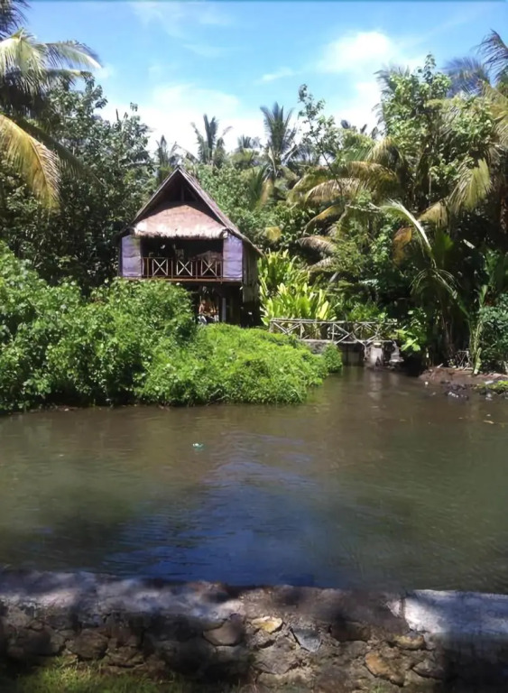 Villa Mandala