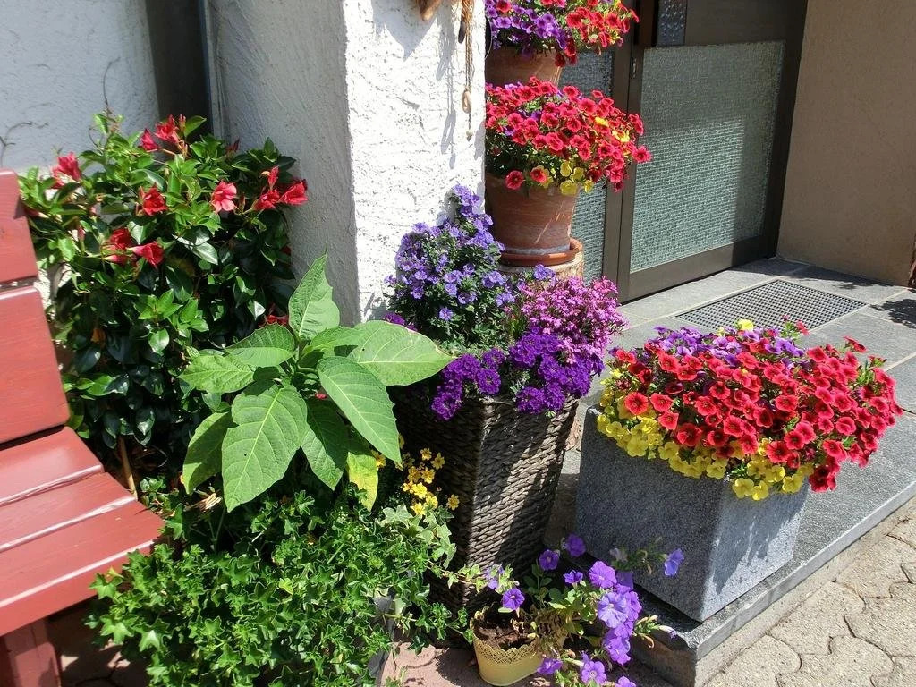 Ferienwohnungen Haus Marlene Kaiser