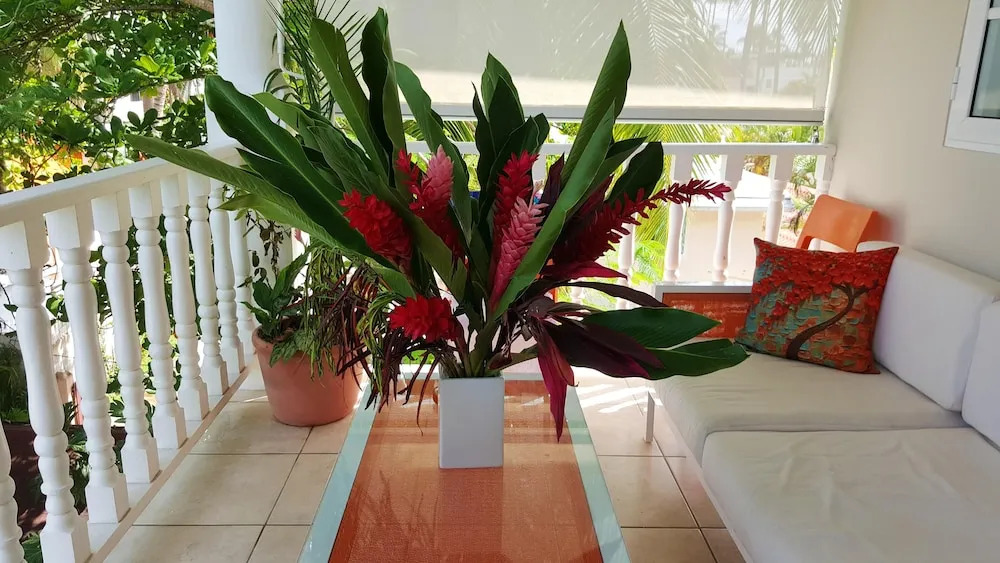 Apartment With 2 Bedrooms in Las Terrenas, With Wonderful sea View, En