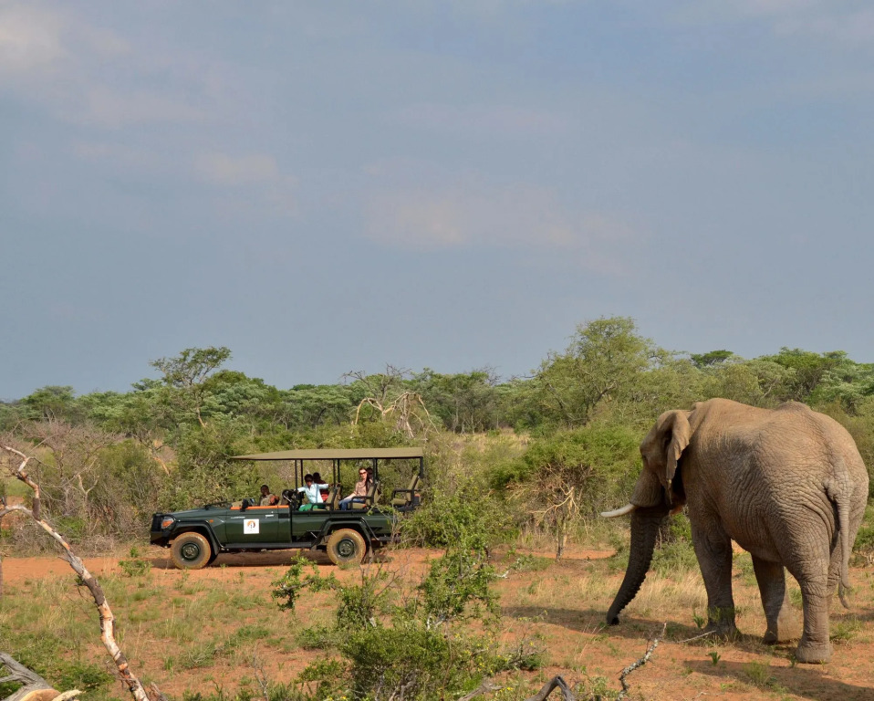 Mabula Game Lodge
