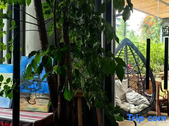 Suxie Art Guesthouse