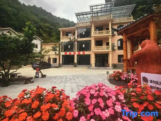 Shennongjia Bear Infestation Homestay