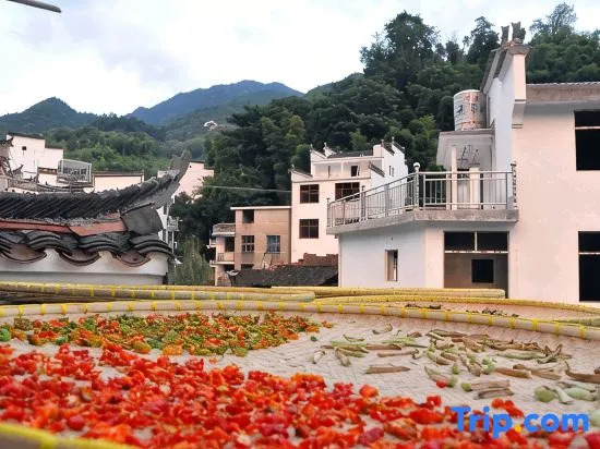 Supu Tingquan Homestay