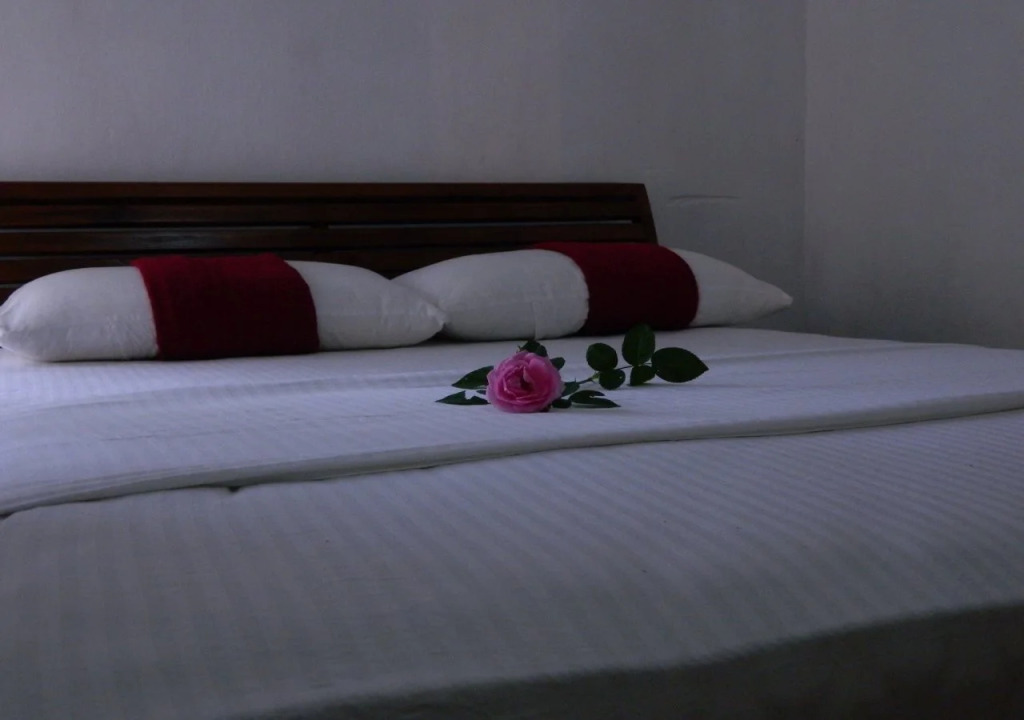 Sinharaja Hostel