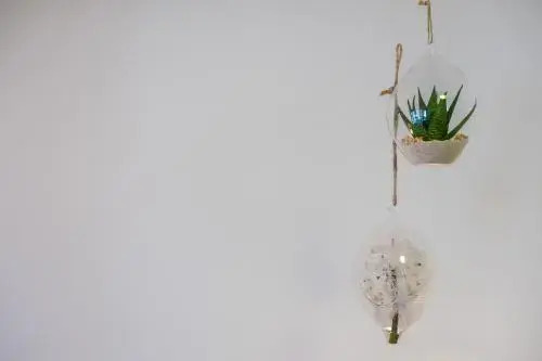 Wijkiki Surf House
