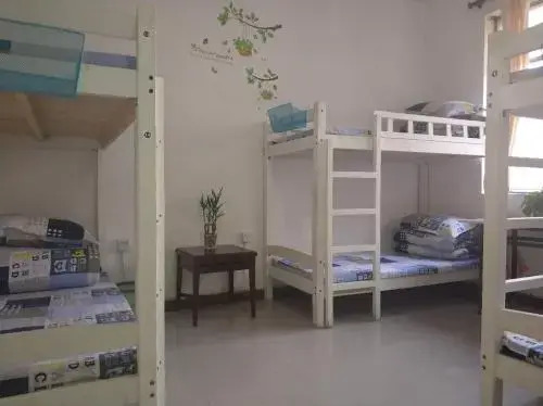 Migratory Bird Fly Hostel