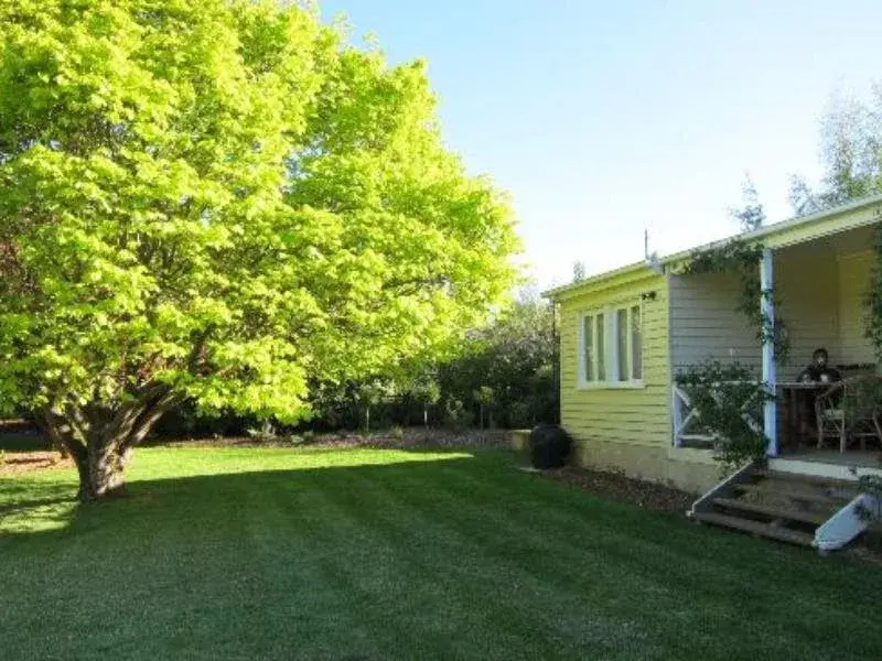 Rosefield Bed and Breakfast