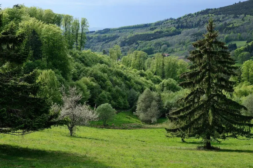 VVF Les Fontaines des Vosges