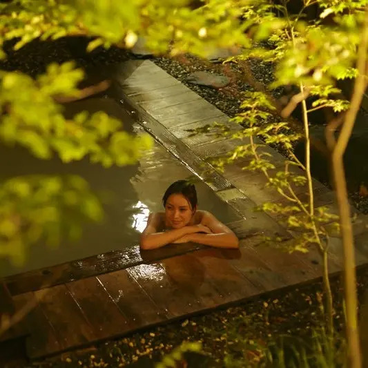 Shinshu Norikura Kogen Onsen Oyado Kodama