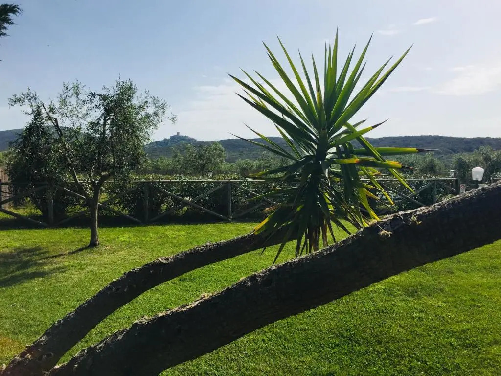 Agriturismo il Portico