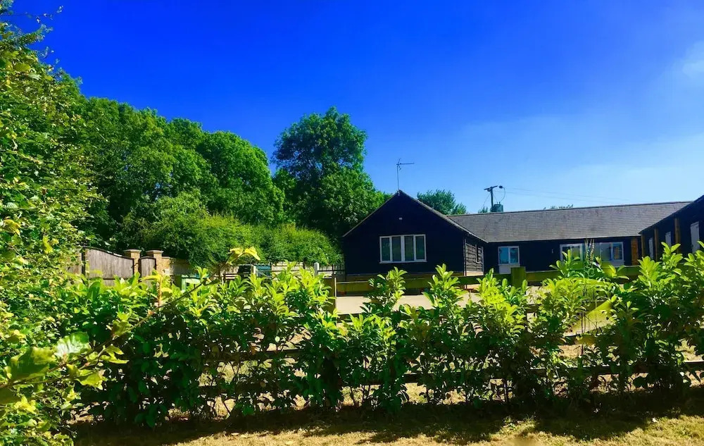 Stay in the Country