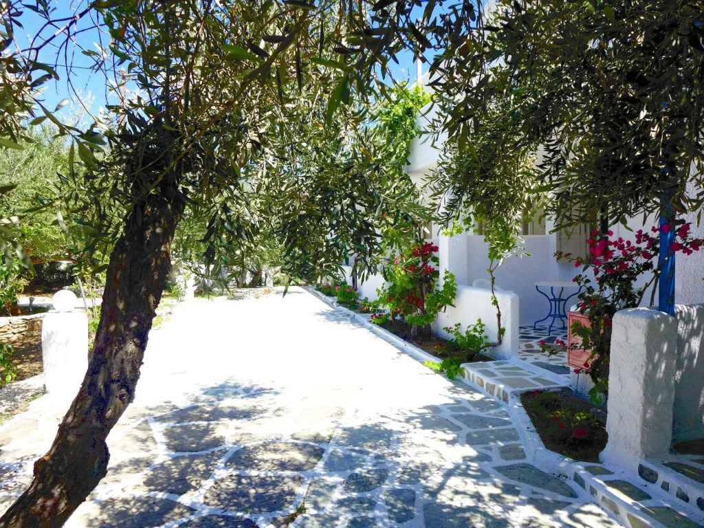 Amaryllis Beach Hotel
