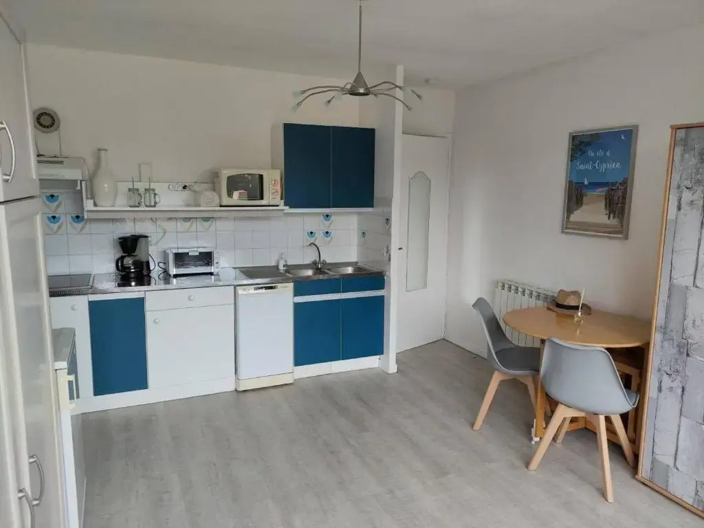 Appartement Saint-Cyprien, 1 pièce, 4 personnes - FR-1-225D-5