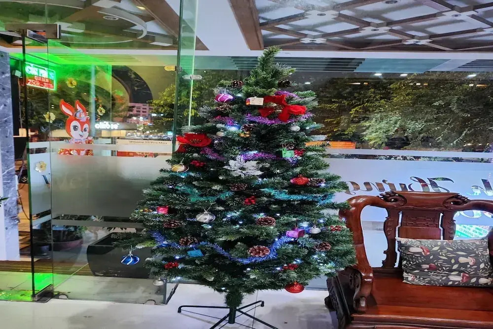 Binh Hung Hotel