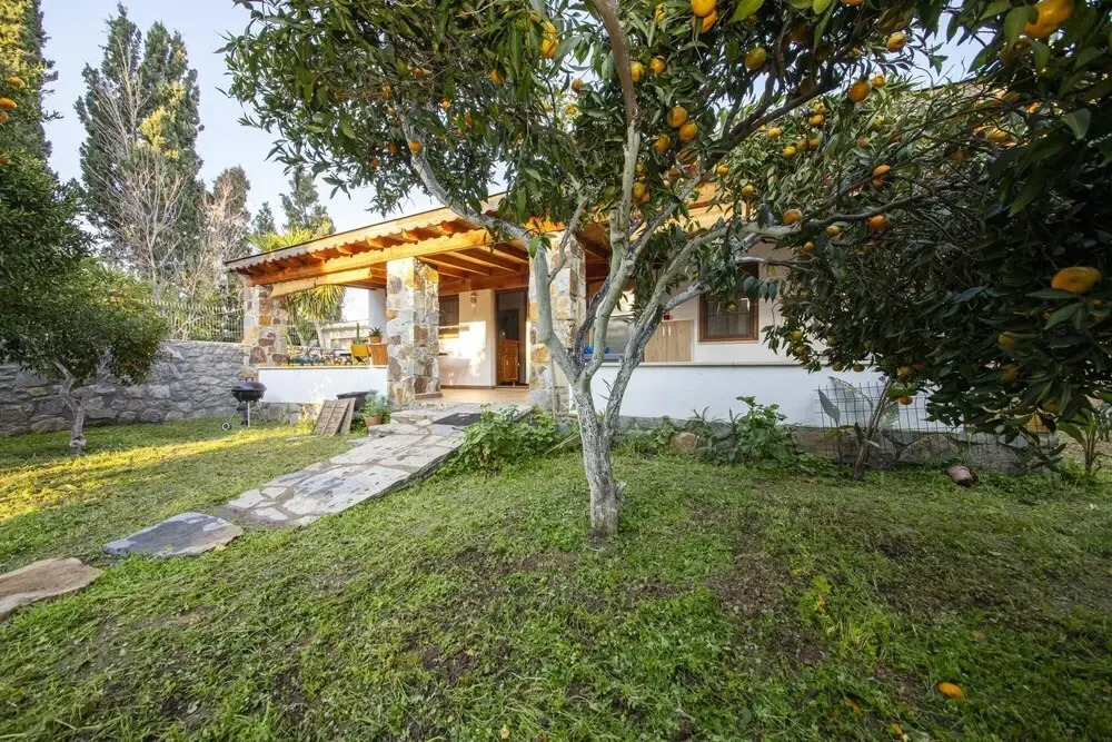 Invigorating Home Surrounded by Nature in Gumusluk