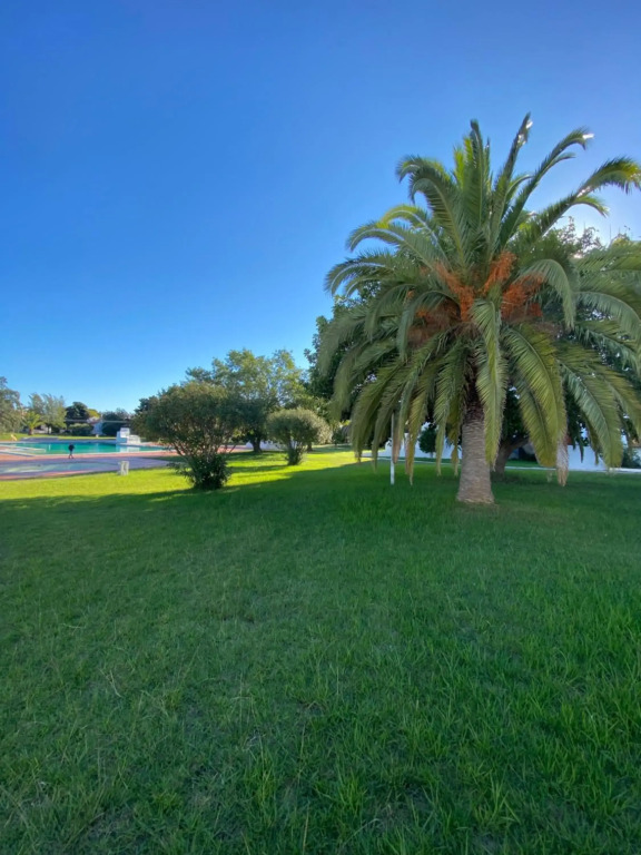 Algarvegas Paradise apartament